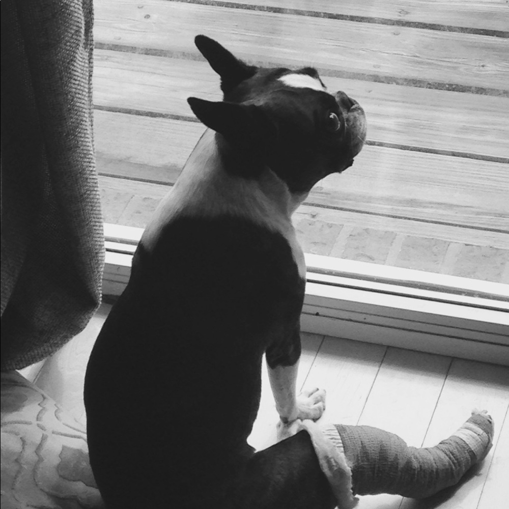 Meet your Posher, Sarah